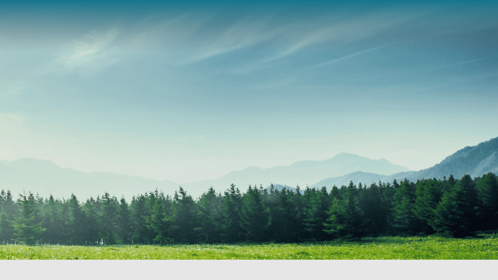 加入我们